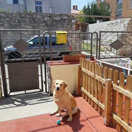 Danijela Apartmán Pula